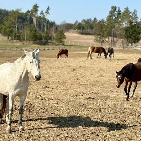 Dom wakacyjny Wczasowy Loft