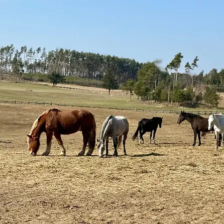 Wczasowy Loft Dom wakacyjny