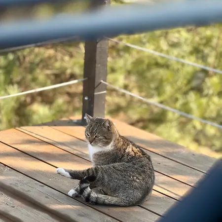 Дом отдыха Wczasowy Loft