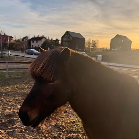 Дом отдыха Wczasowy Loft Sominy