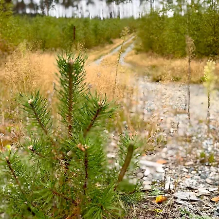 Wczasowy Loft Casa vacanze *