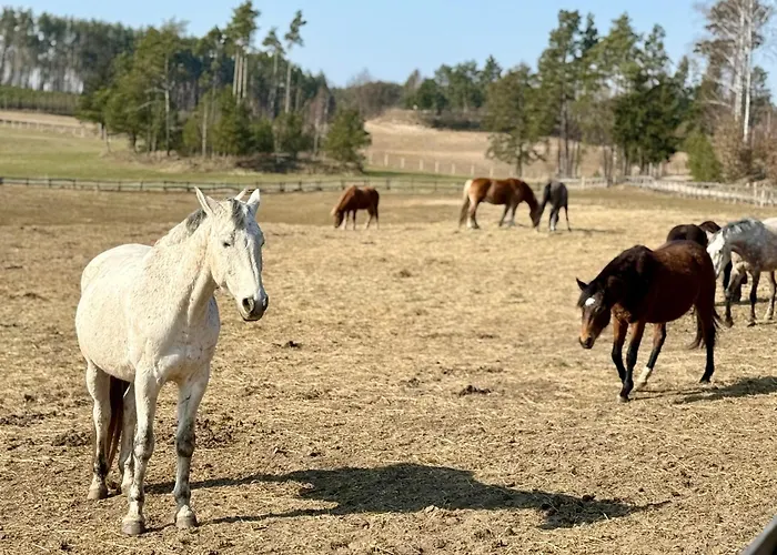 Semesterbostad Wczasowy Loft