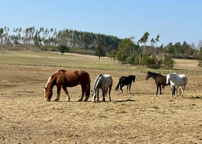 Wczasowy Loft Semesterbostad