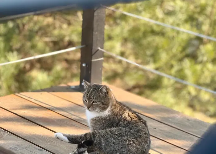 Semesterbostad Wczasowy Loft