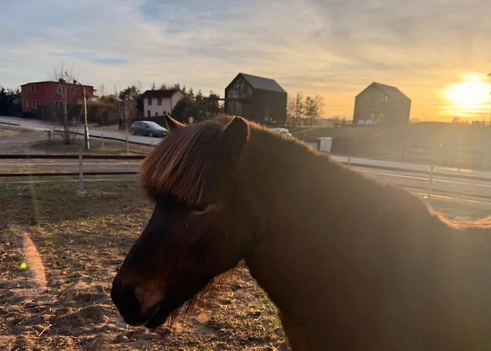 펜션 Wczasowy Loft Sominy