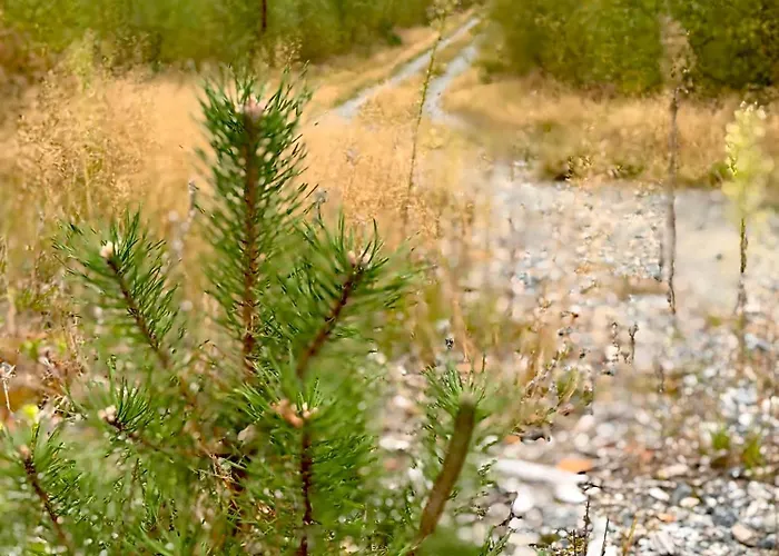 Wczasowy Loft Hébergement de vacances *